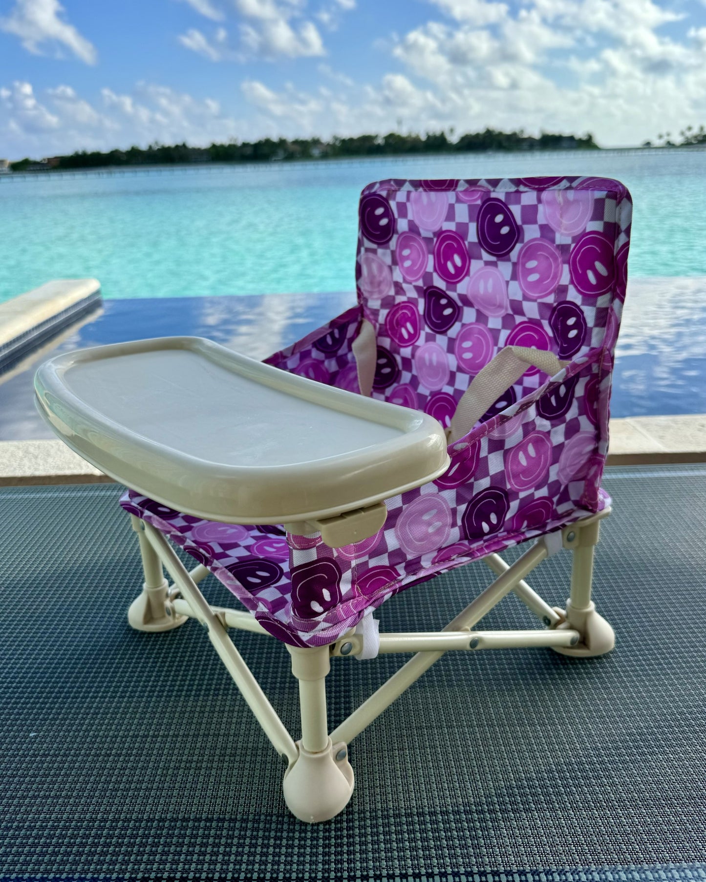 Purple Smiles Baby Chair
