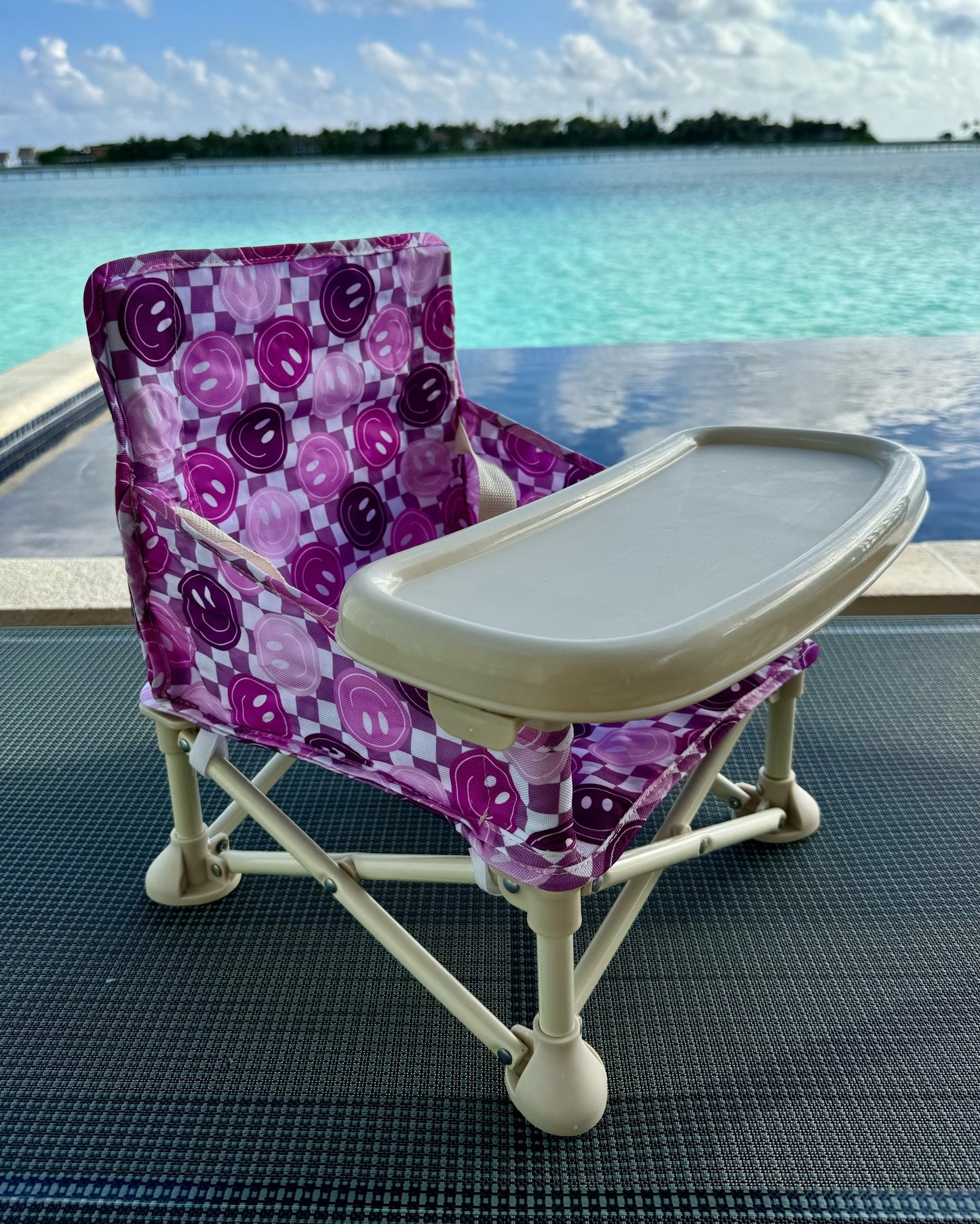 Purple Smiles Baby Chair