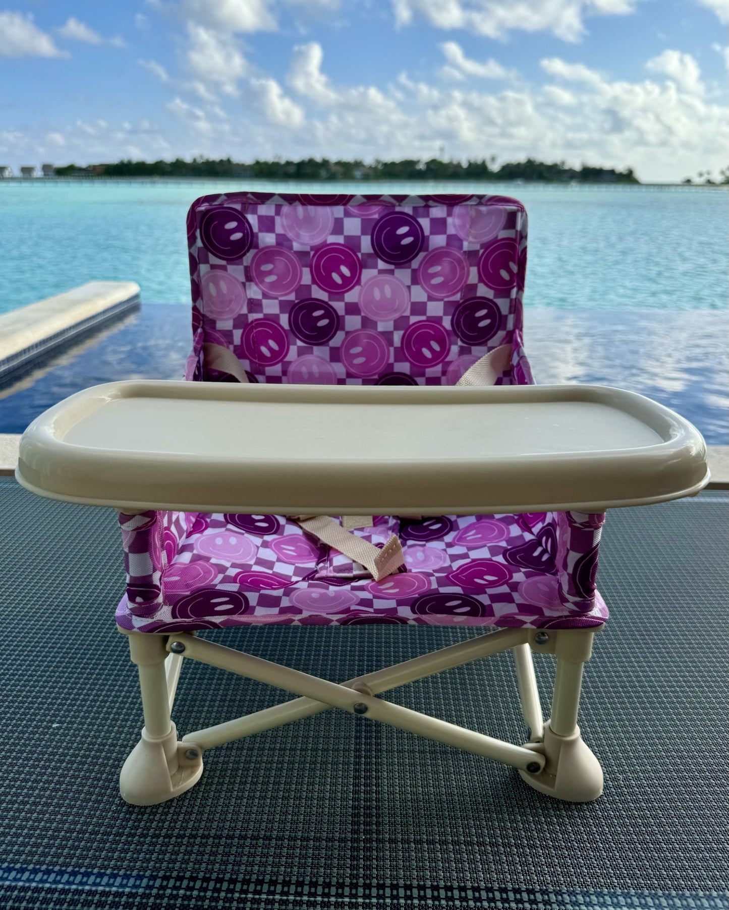 Purple Smiles Baby Chair