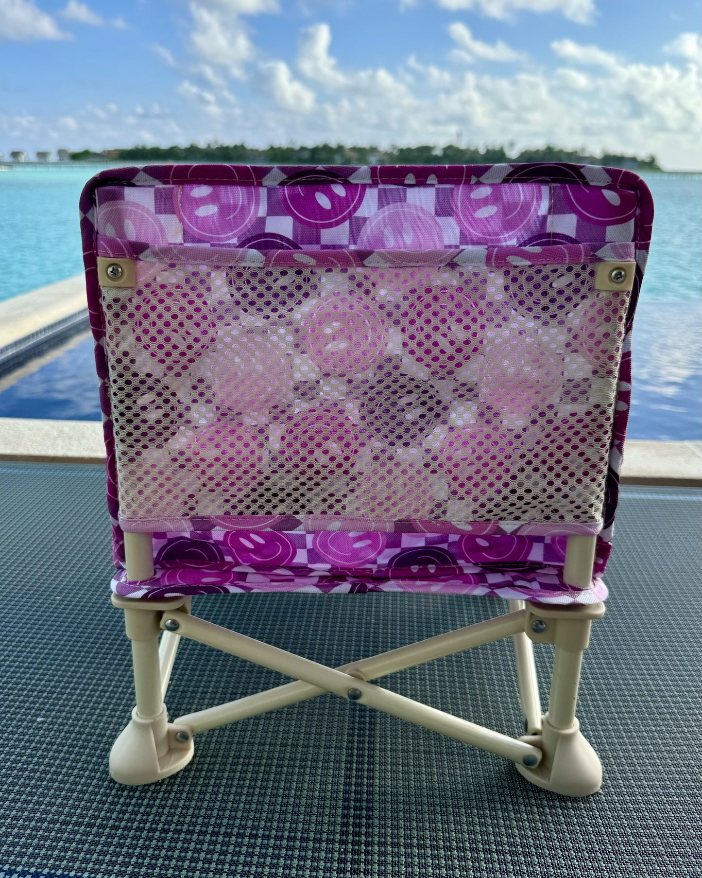 Purple Smiles Baby Chair