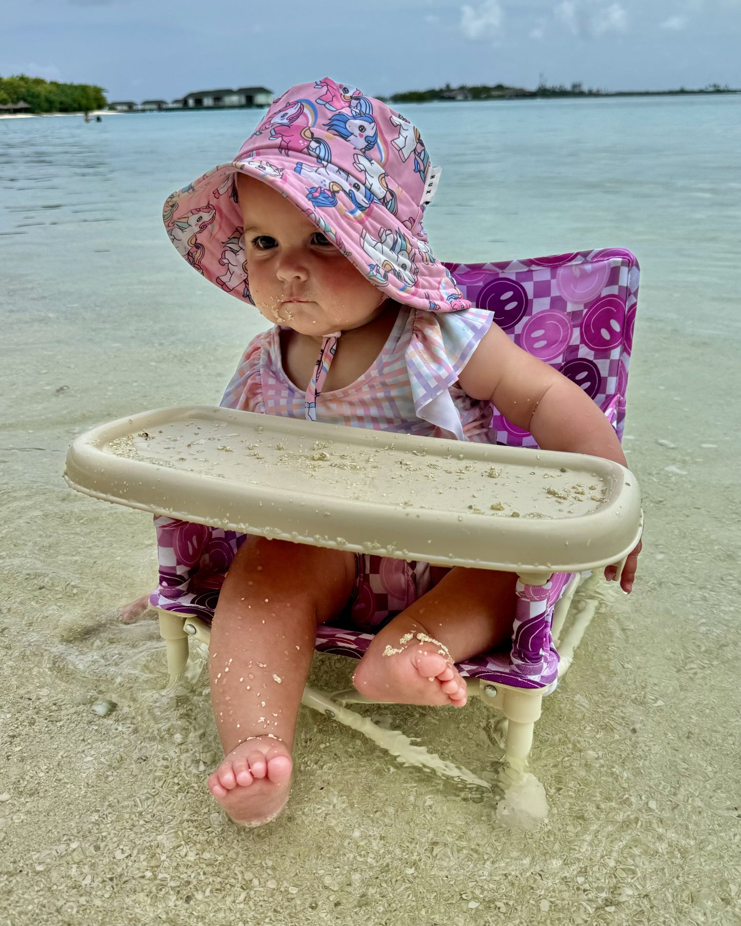 Purple Smiles Baby Chair