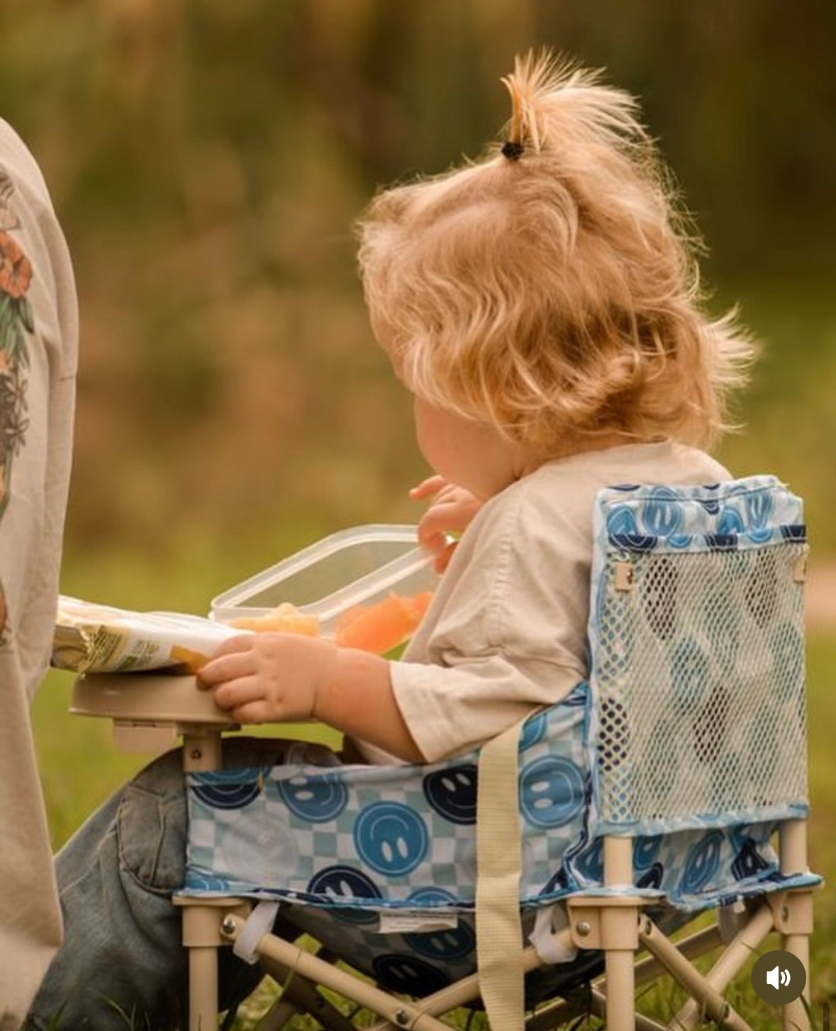 Blue Breeze Baby Chair