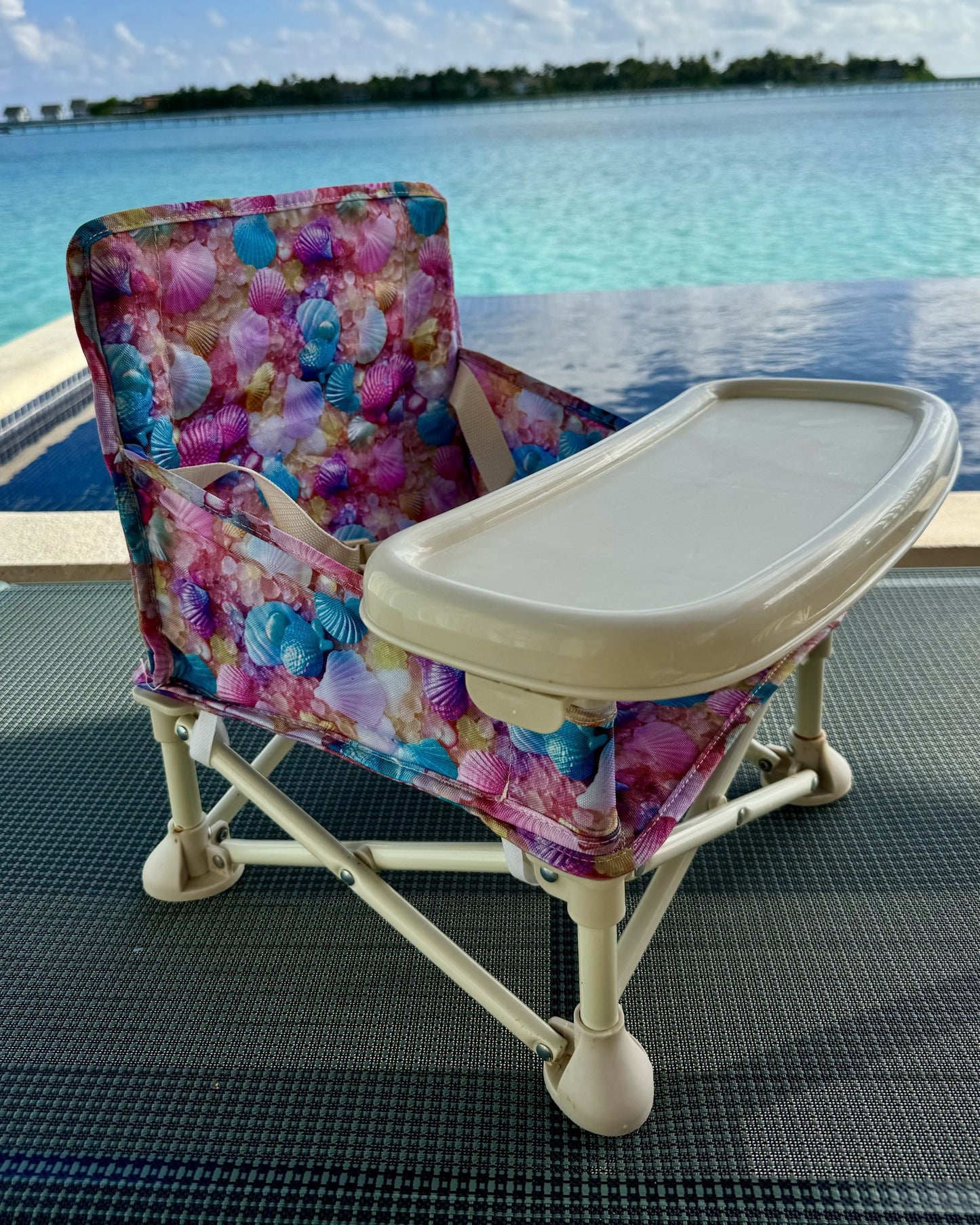 Sea Shell Baby Chair