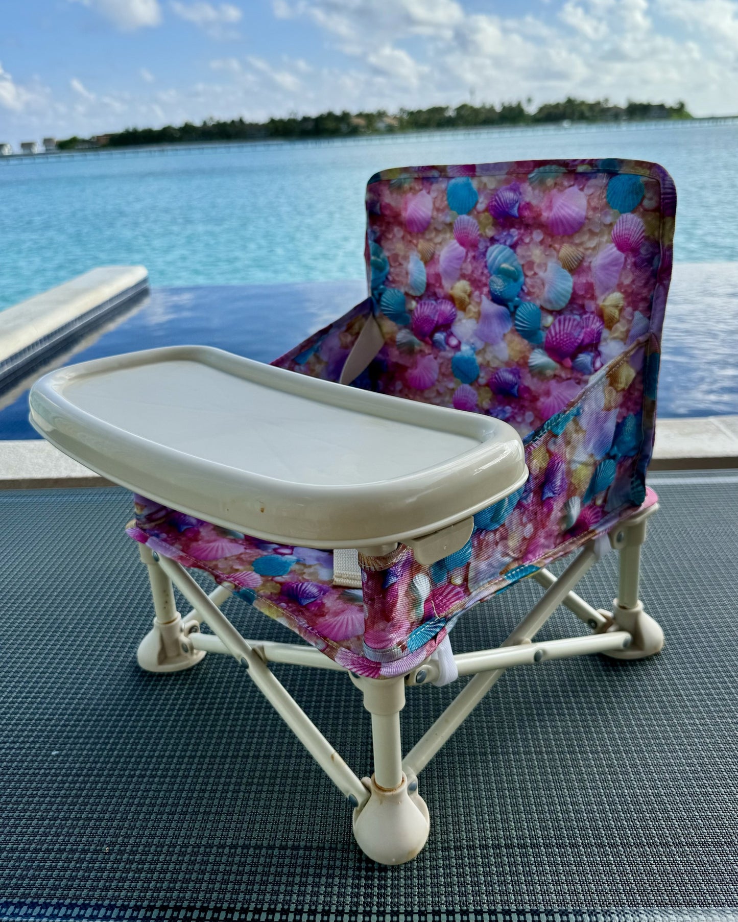 Sea Shell Baby Chair