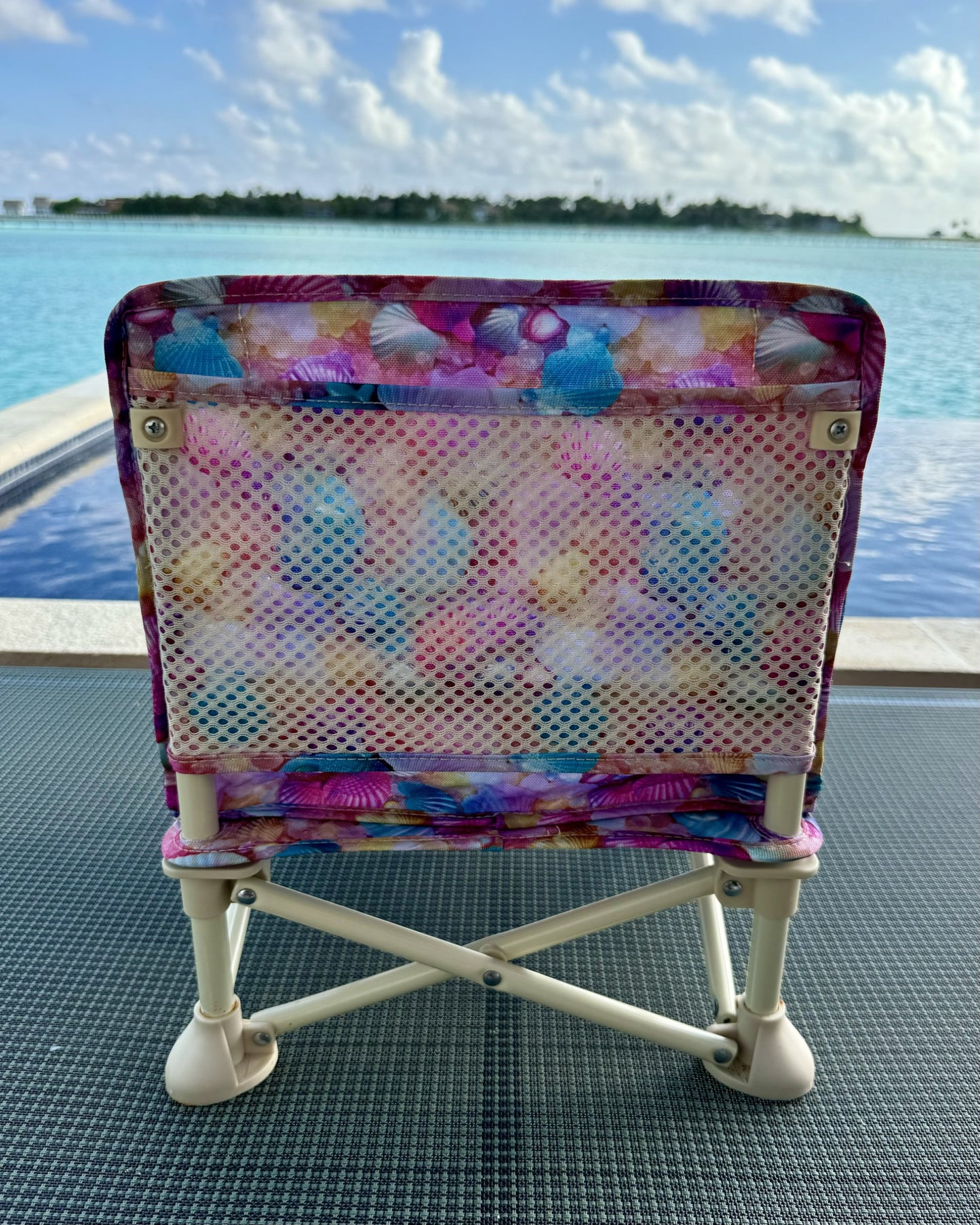 Sea Shell Baby Chair